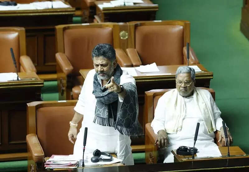 Bill proposes inheritance rights for devadasi children, outlaws practice