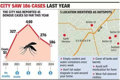 Gurgaon reports 45 dengue cases in a month, highest in Haryana