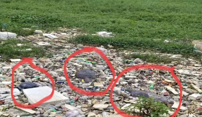 Ahom Sena & Jaya Bahini protest encroachment across historical sites in Sivasagar