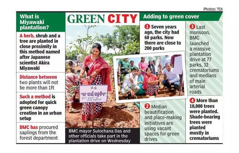 To expand city’s green footprint, BMC plants 11k saplings