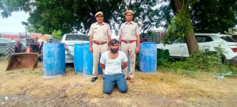 msid 123289371,imgsize 55354 https://jaipur.visitinrajasthan.com/wp-content/uploads/2023/10/cropped-cropped-R-2.png