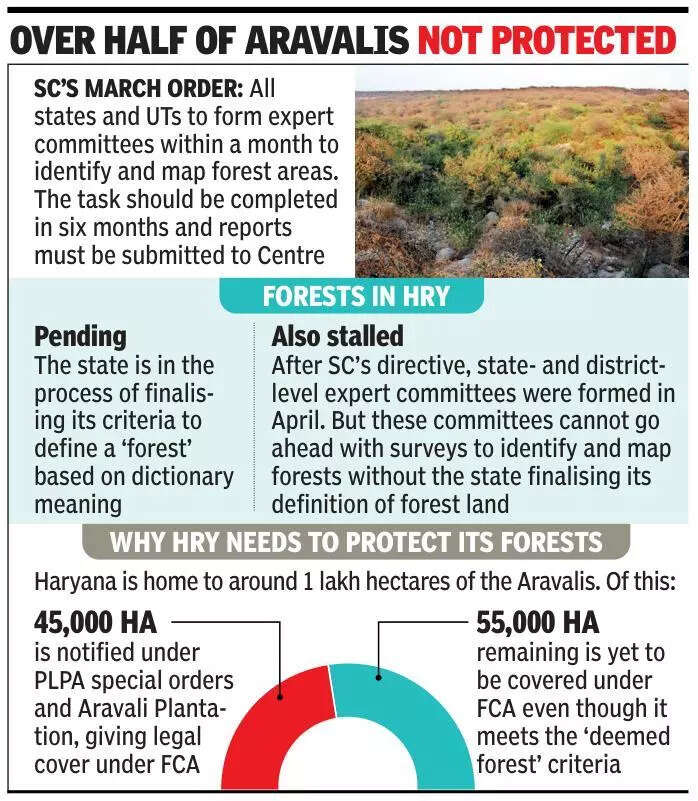 Panels set up in April, but survey held up as Haryana yet to define ‘forest’