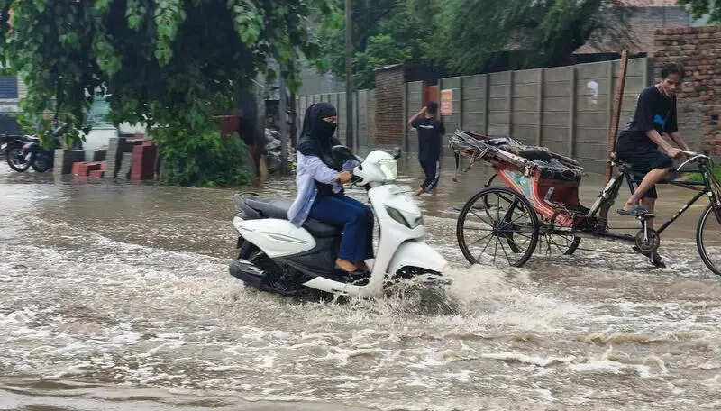 Heavy rain leaves Ludhiana floundering, tripping on potholes