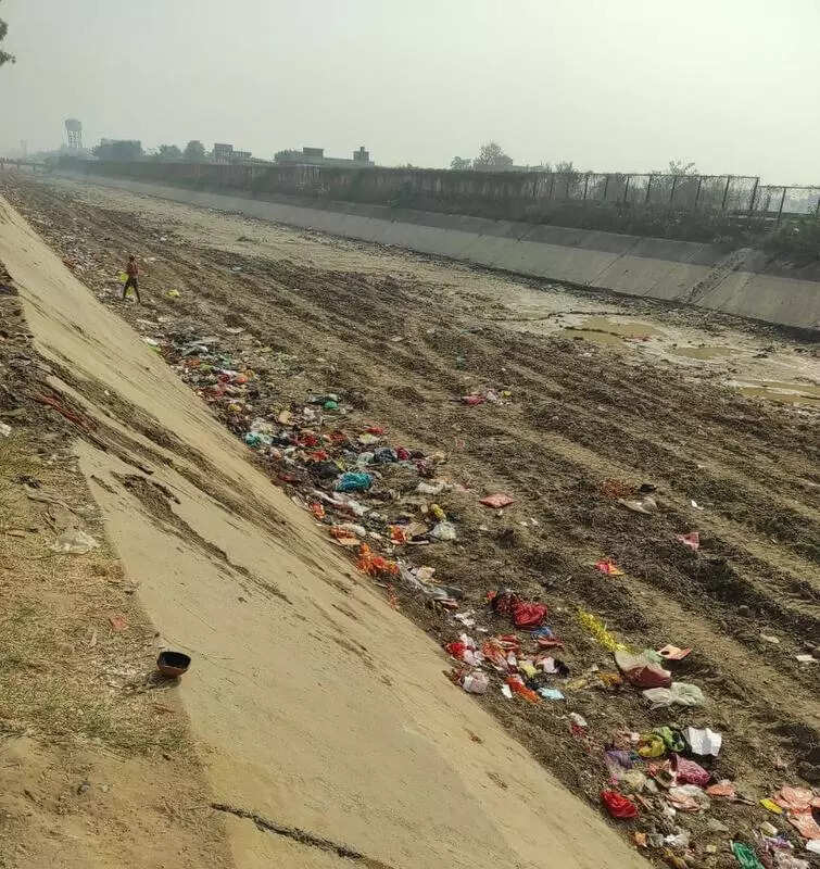 NGT calls for regular cleaning, monitoring of Sidhwan Canal banks