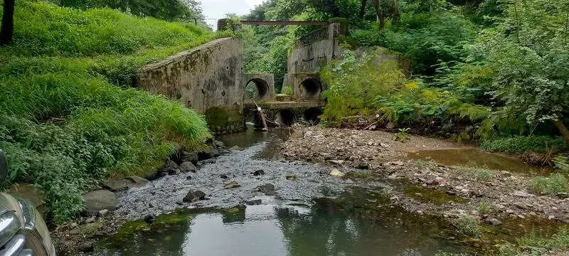 Belapur lake faces environmental threat, warns Citizens forum