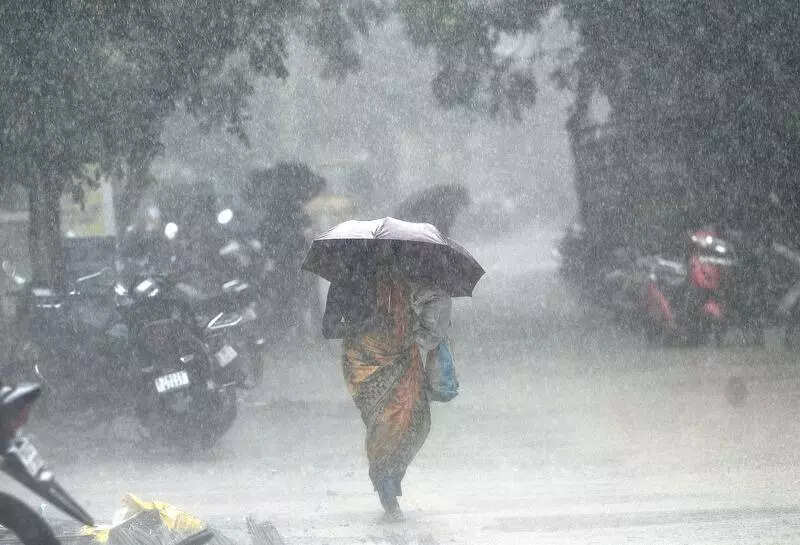 City rainfall is 8% below normal since June; light rain today