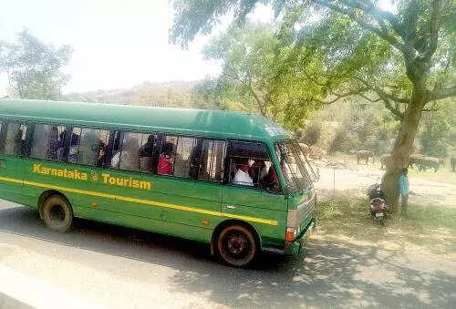 Boy suffers scratches as leopard lunges at safari bus in Bengaluru