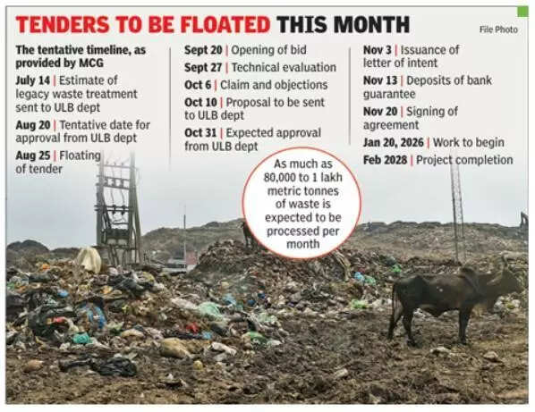 Bandhwari legacy waste cleanup in Gurgaon to begin only in Jan, deadline set at 2028