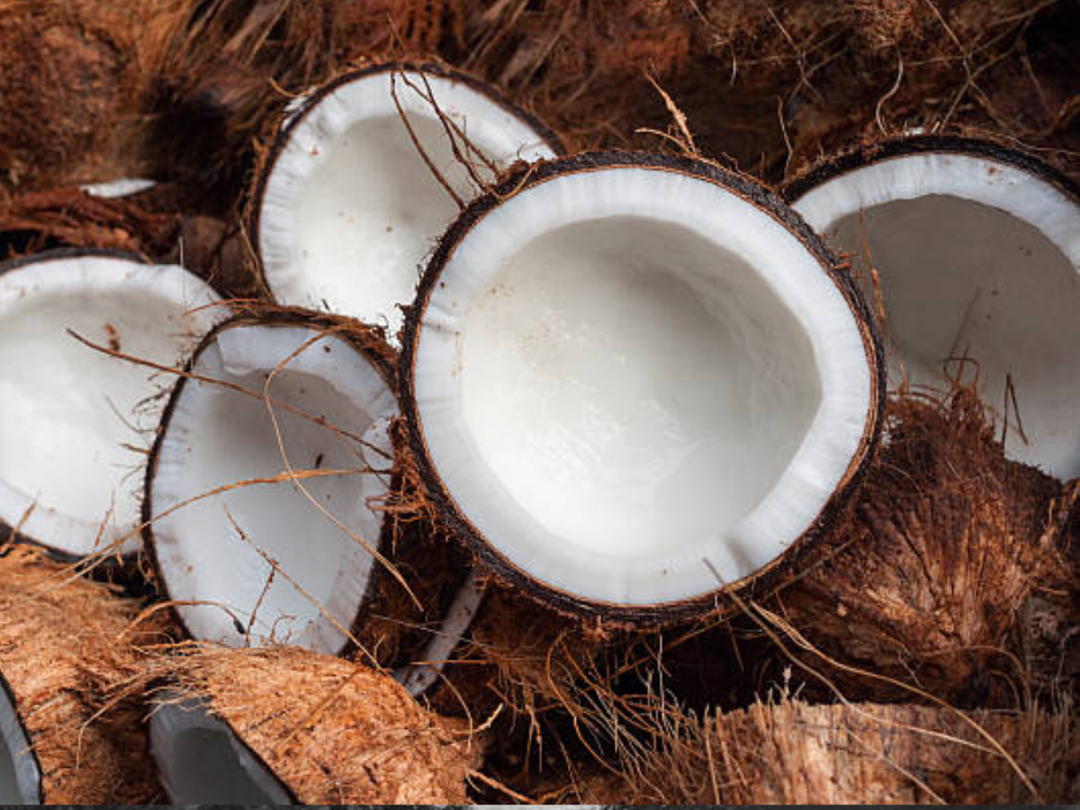 10k subsidised coconuts fly off horticulture corp’s counters