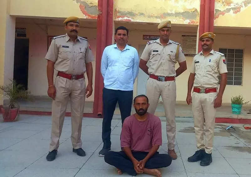 msid 123338892,imgsize 47744 https://jaipur.visitinrajasthan.com/wp-content/uploads/2023/10/cropped-cropped-R-2.png