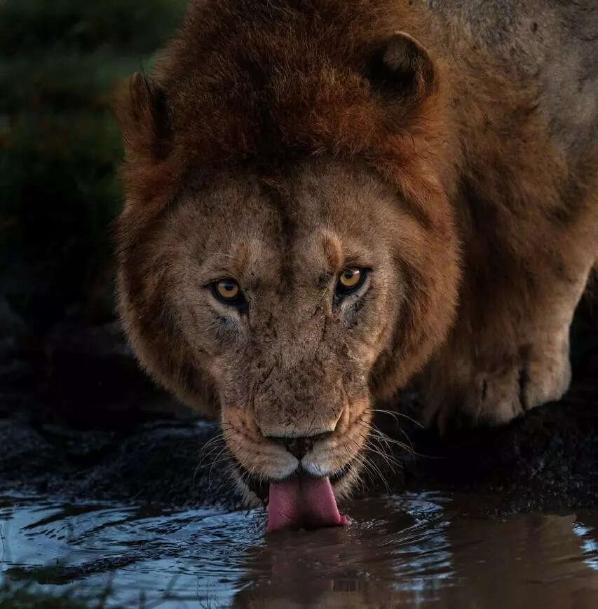 World Photography Day: Celebrities with a passion for photography share their most treasured clicks