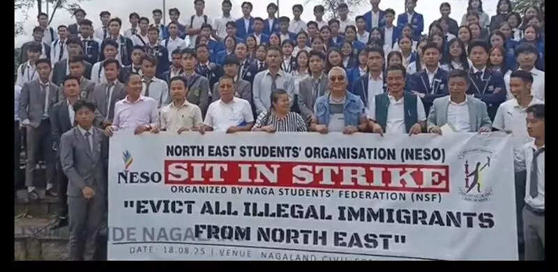 NSF joins Neso protest against illegal immigrants