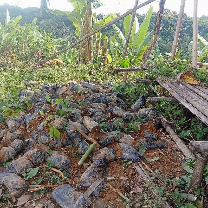 Assam officials violated border status quo: Mizoram villagers