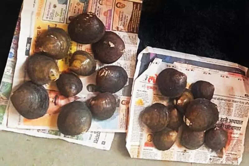 ‘Kalle khube’, once a regular table delicacy, makes rare appearance at Banastarim market