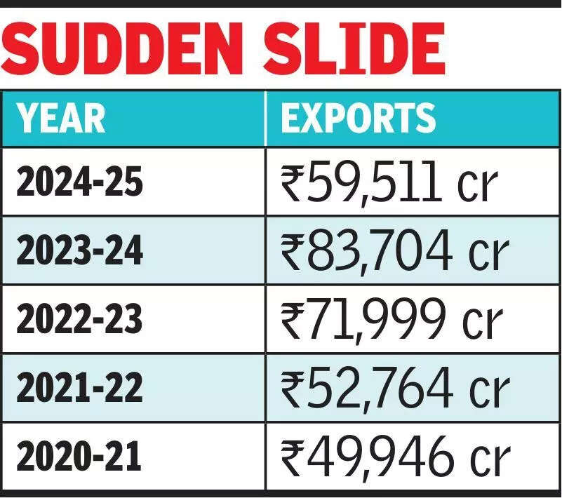 msid 123372636,imgsize 35738 https://jaipur.visitinrajasthan.com/wp-content/uploads/2023/10/cropped-cropped-R-2.png