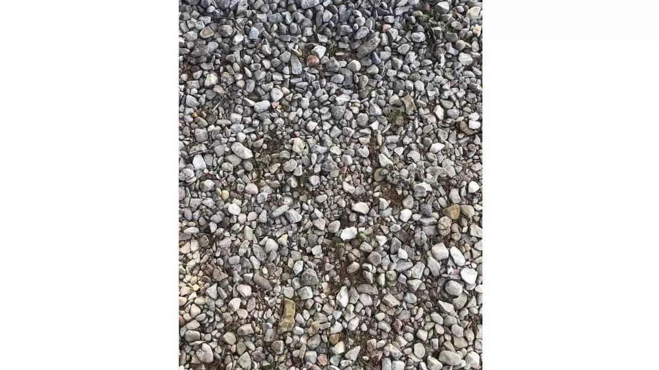 Optical Illusion