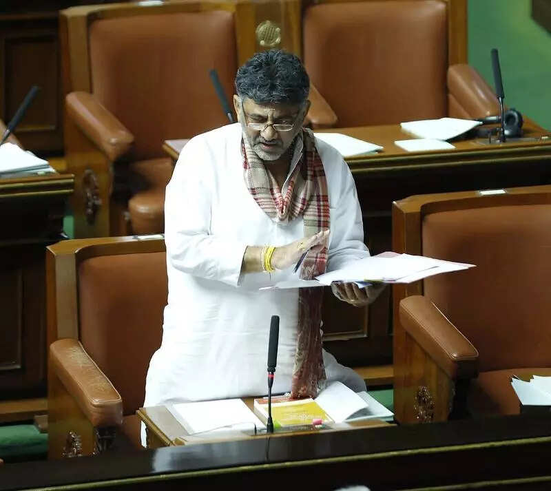 Assembly passes amendment keeping Greater Bengaluru Authority out of municipal affairs