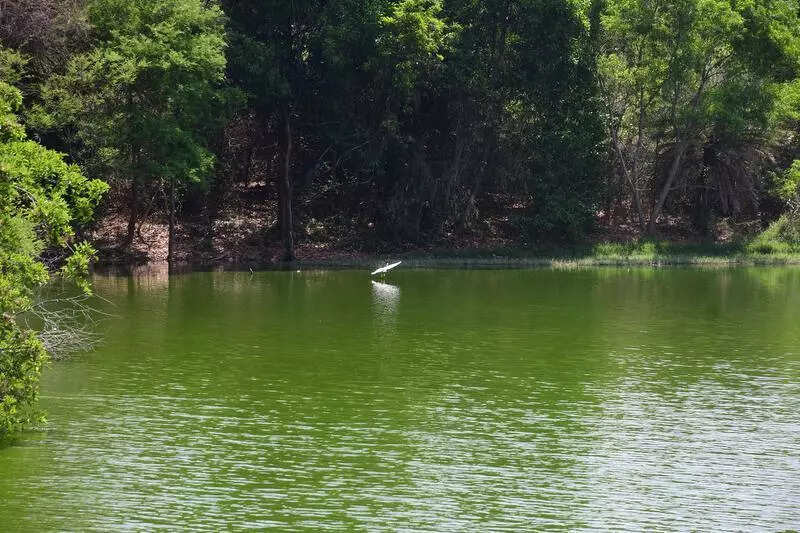 Plan to reduce buffer zones around lakes raises hackles