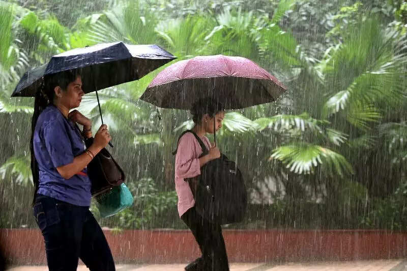 Delhi sees overcast skies with light rain, AQI still satisfactory