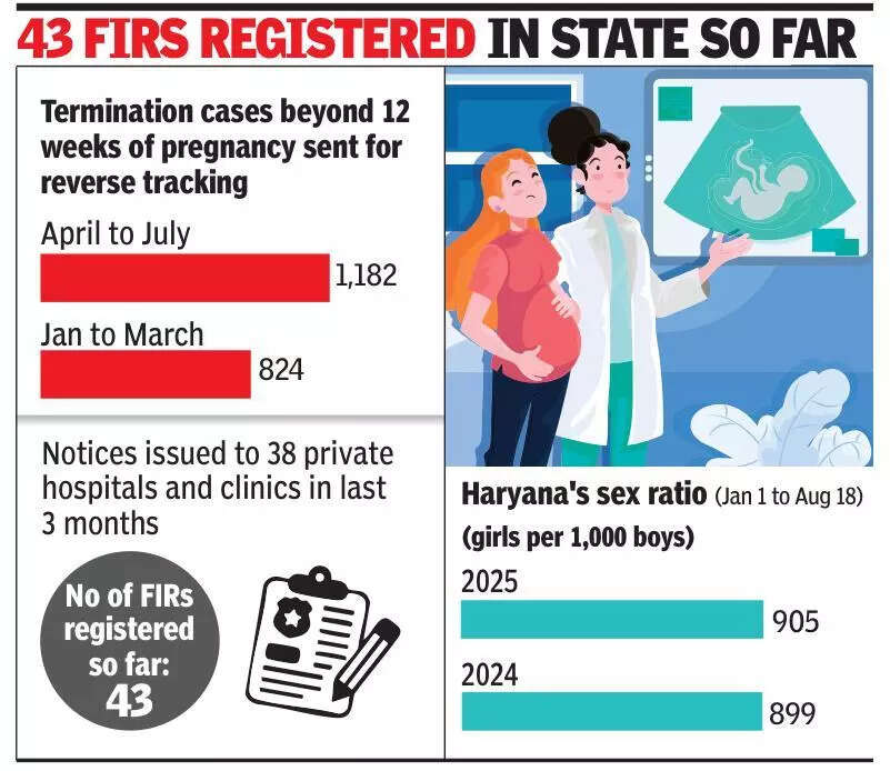 After scrutiny on 824 abortions, 1,182 more cases in Haryana under govt scanner