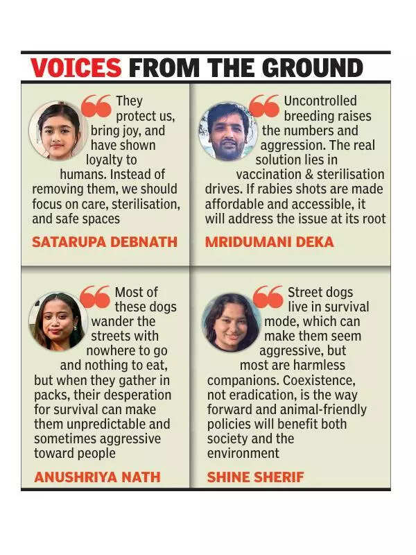 Pawsitive change: Call for safe spaces, compassion for strays