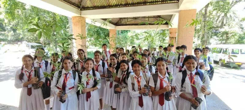 Saplings for scavengers: School leads drive to restore vulture habitats