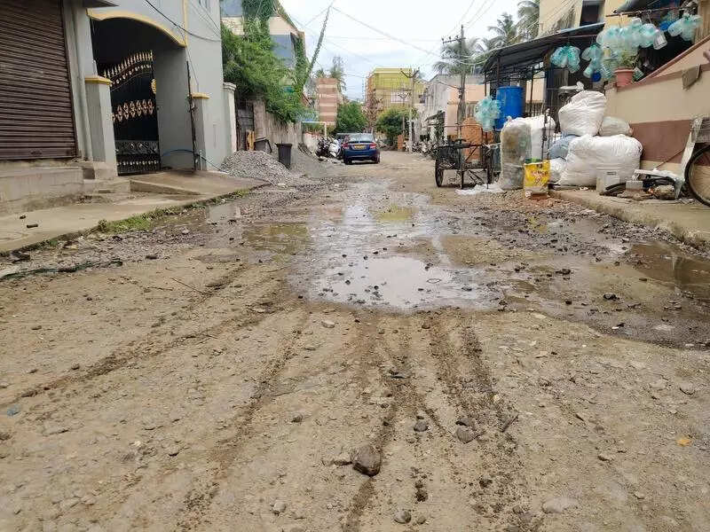 Madipakkam roads have been a mess for a whole year now