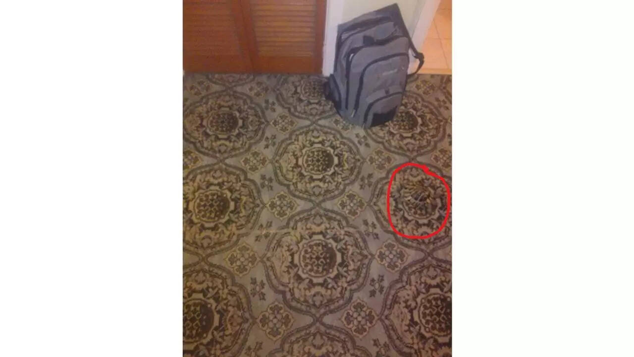 Optical Illusion Answer