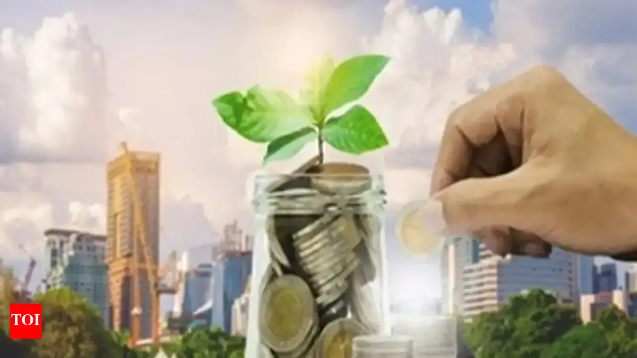 Climate finance challenge: India needs $467 billion by 2030, here's what new study reveals