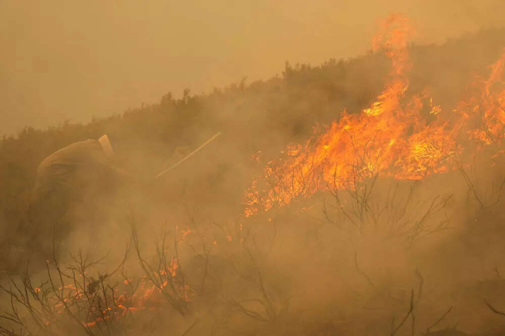 Record EU wildfires burnt more than 1 million hectares in 2025: AFP analysis