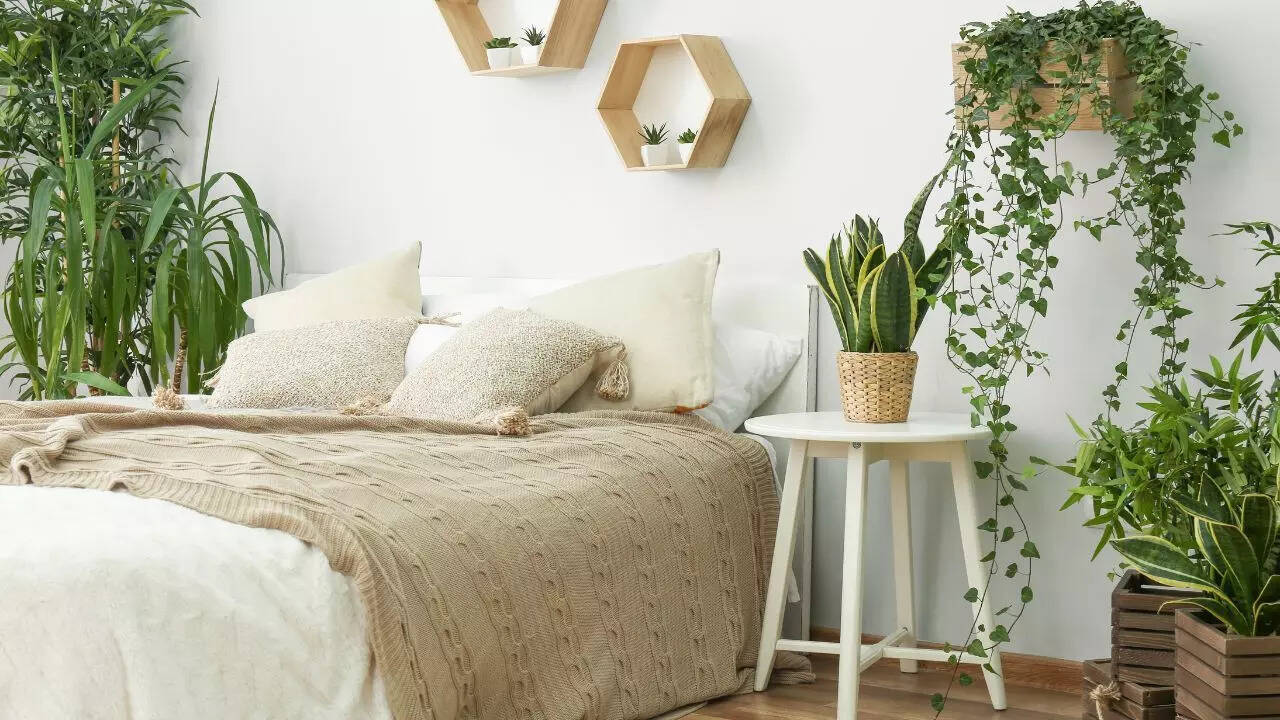 Harvard doctor urges people to throw away THESE 3 toxic bedroom items ASAP