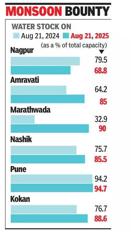 Storage in dams 10% higher than last yr, except for Vidarbha