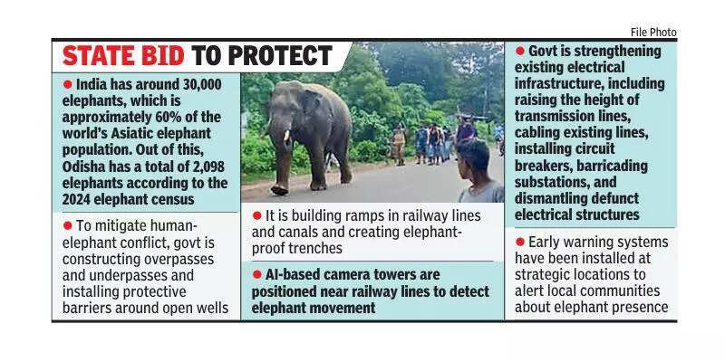 World’s 1st Asiatic elephant survival centre to come up in city: CM