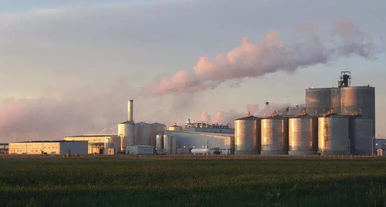 Genetic body okays import of GM yeast for ethanol production