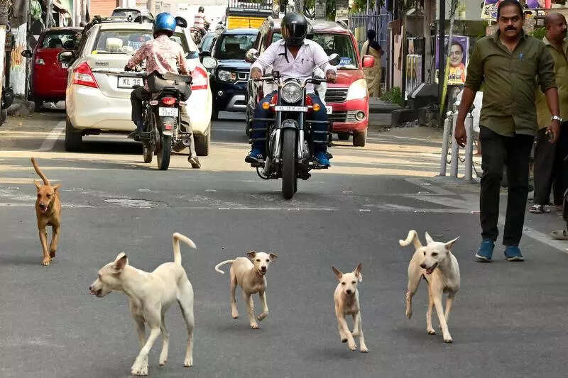 Vet hospital: Corp wins legal battle against landowner