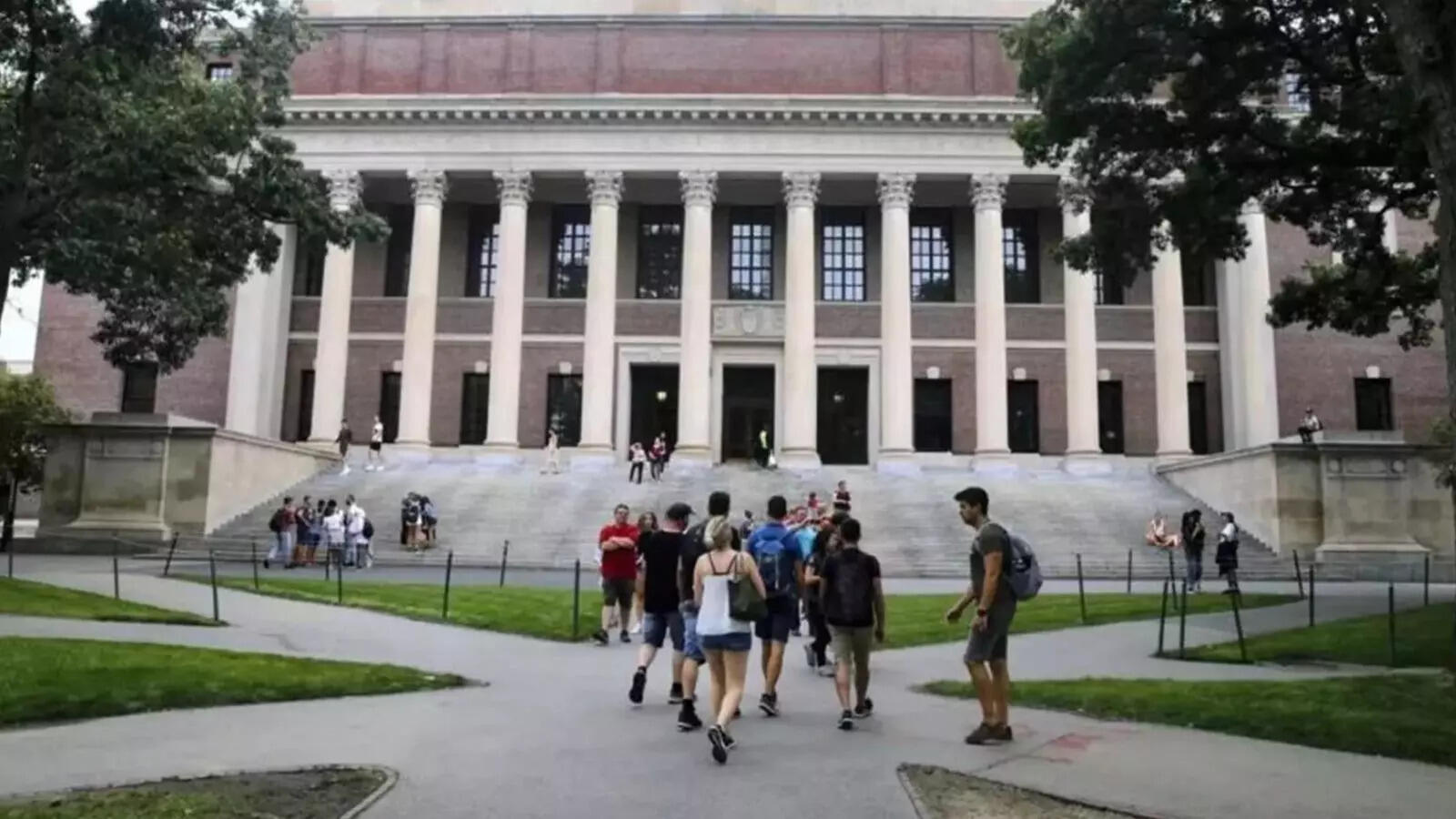 OPT crisis threatens Indian students’ careers in the US: 7 tips to safeguard your future in Silicon Valley