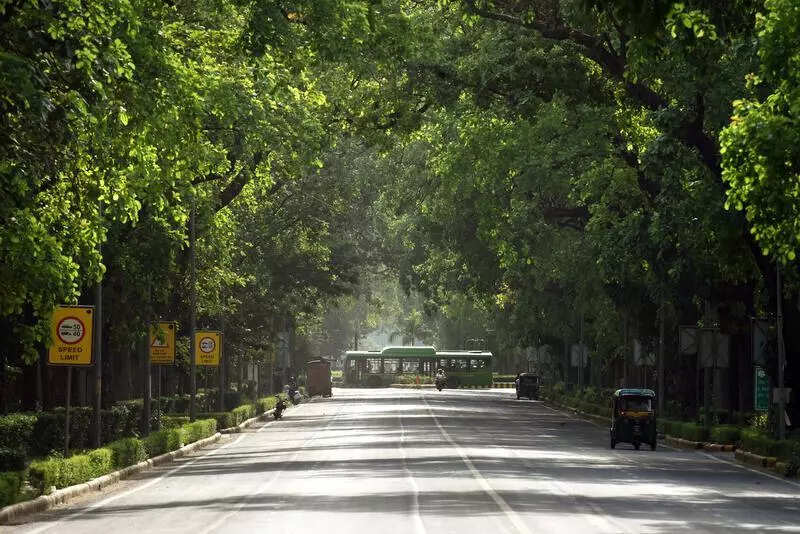 Pruning Dilemma: Fear Is At The Root Of It