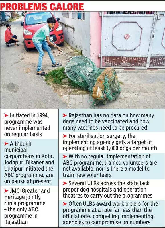 msid 123511283,imgsize 96520 https://jaipur.visitinrajasthan.com/wp-content/uploads/2023/10/cropped-cropped-R-2.png