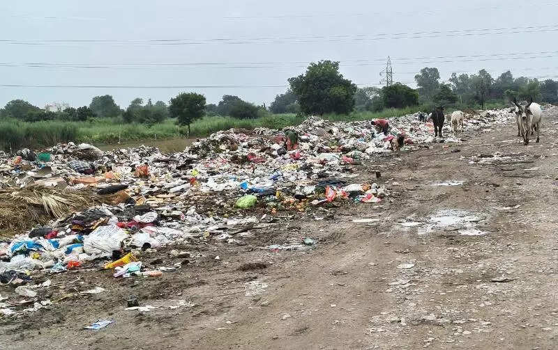 Industrial hub or dumpyard? Safai plan still on paper, waste piles up in IMT Manesar