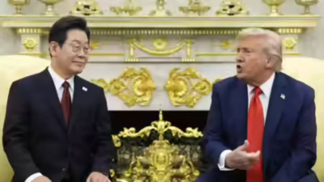 What are ‘comfort women’: Why did Donald Trump bring them up with the South Korean President at the White House