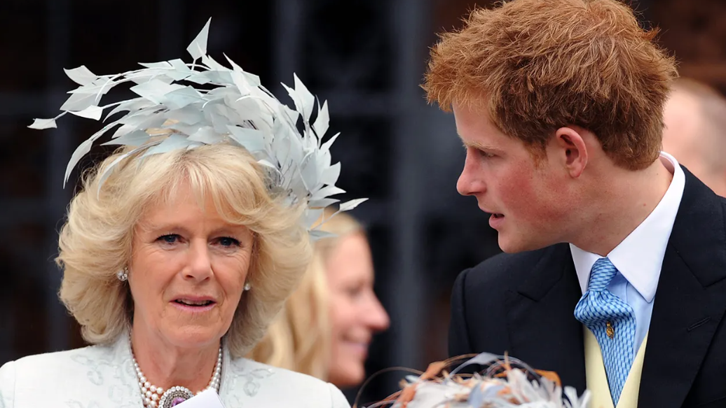‘I don’t understand Harry’s anger’: Butler challenges ‘evil stepmother’ story