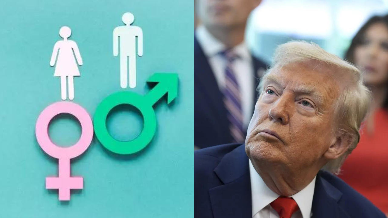 No 'gender ideology' in sex education: Trump admin threatens grant cuts in 46 states; says 'federal funds will not be used to poison minds'