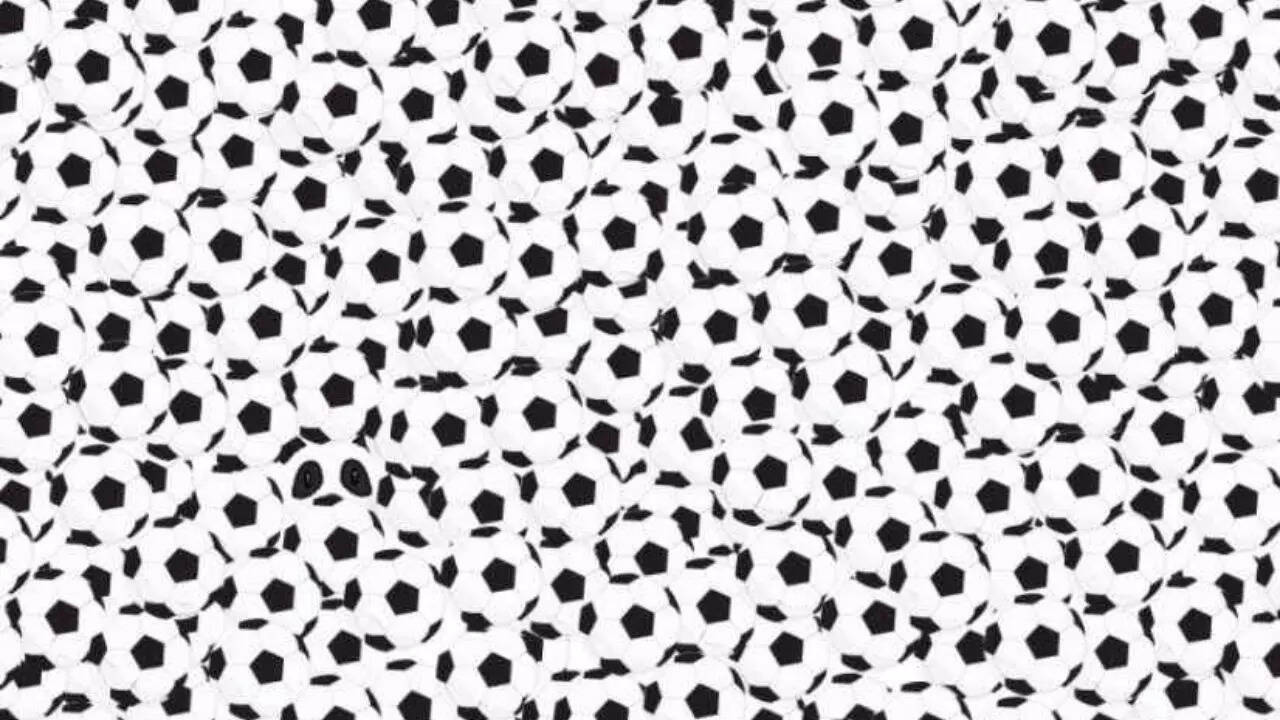 Optical Illusion: Think you have sharp vision? Prove it by spotting the Panda