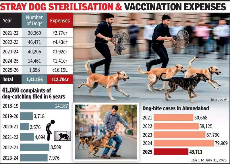 Only two teams to handle 2.1 lakh stray dogs in Ahmedabad