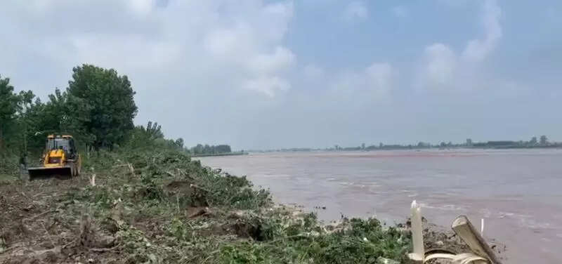 Punjab govt deploys 74 rapid response teams to strengthen healthcare amid floods in Ludh