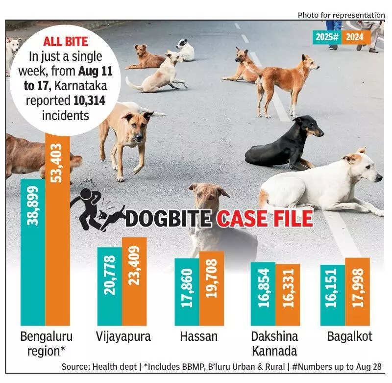 Karnataka records 3.1 lakh dogbite cases in 2025, most in Bengaluru region