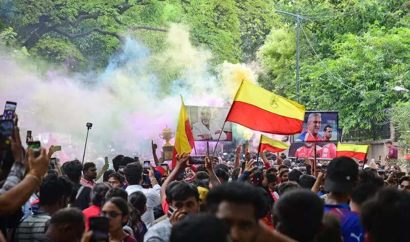 RCB Cares launched nearly three months after Bengaluru stadium stampede