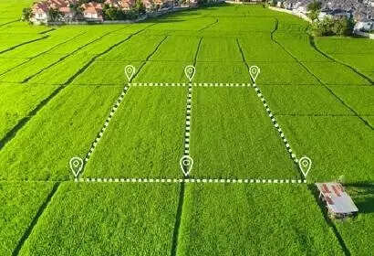 T govt prepares for forensic audit of land records