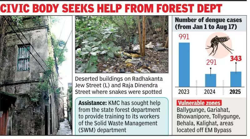 In deserted North Kolkata buildings, KMC’s drive against dengue runs into a slithery problem