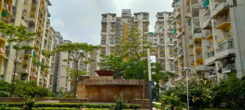 Faridabad RWA asks resident to pay ‘Rs 1.3 lakh fine’ for feeding strays